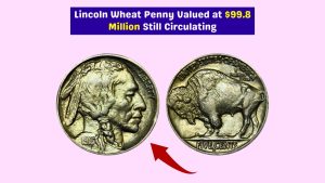 1913-D Buffalo Nickel