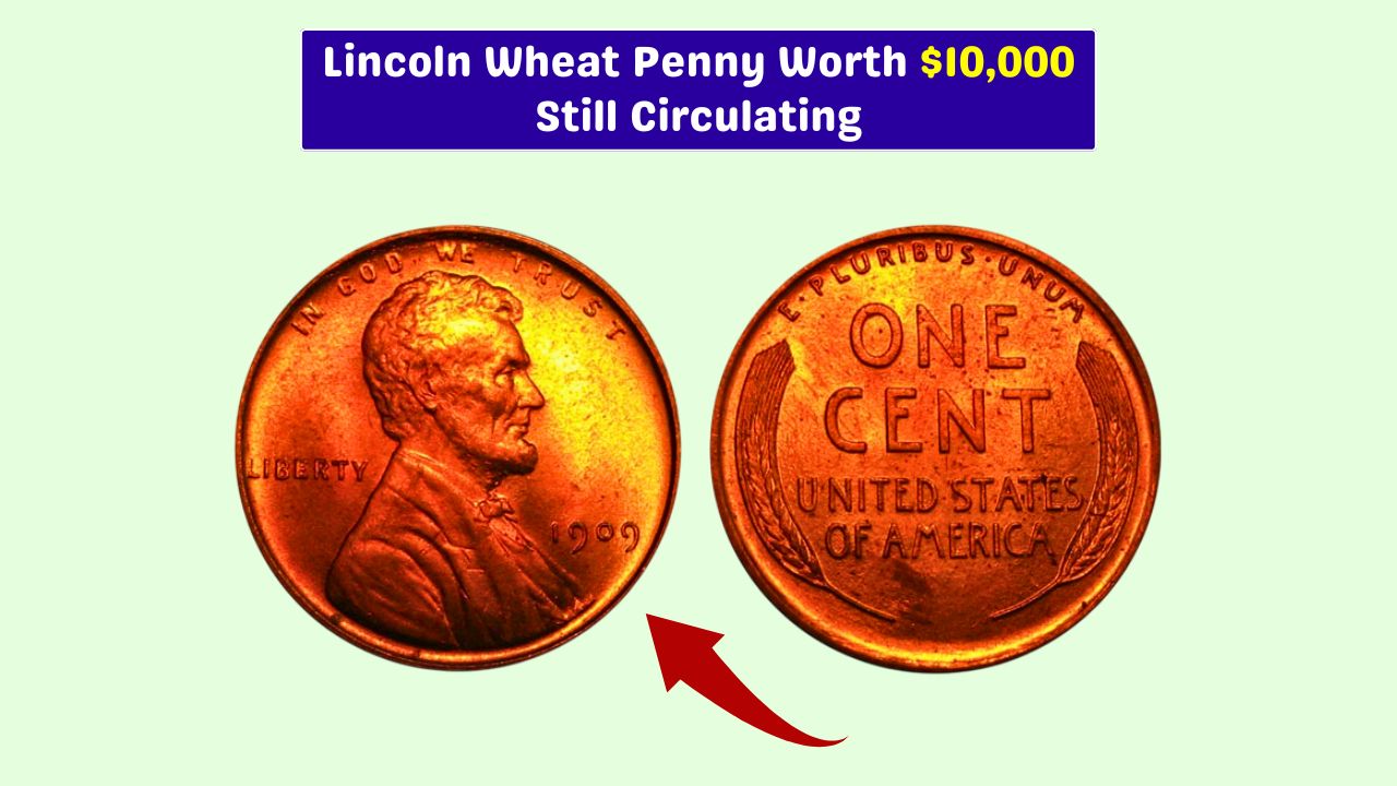 1909 Lincoln Wheat Penny